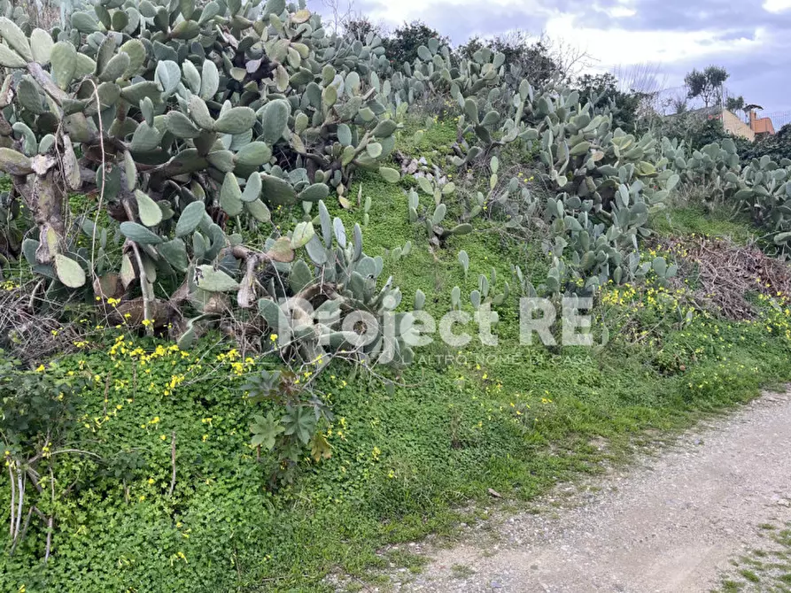 Immagine 9 di Terreno in vendita  in Via Mortara S.Leo a Reggio Di Calabria