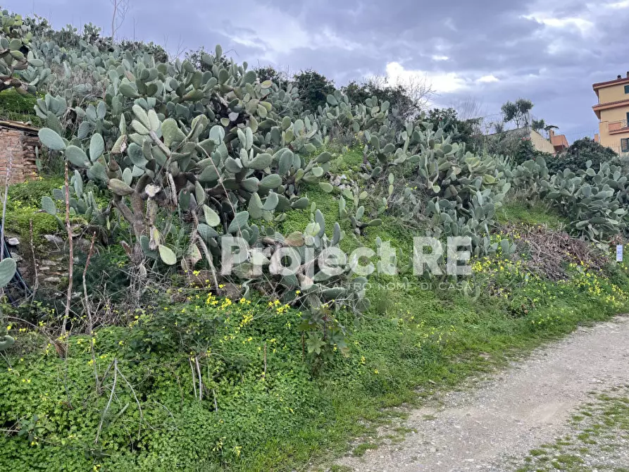 Immagine 10 di Terreno in vendita  in Via Mortara S.Leo a Reggio Di Calabria