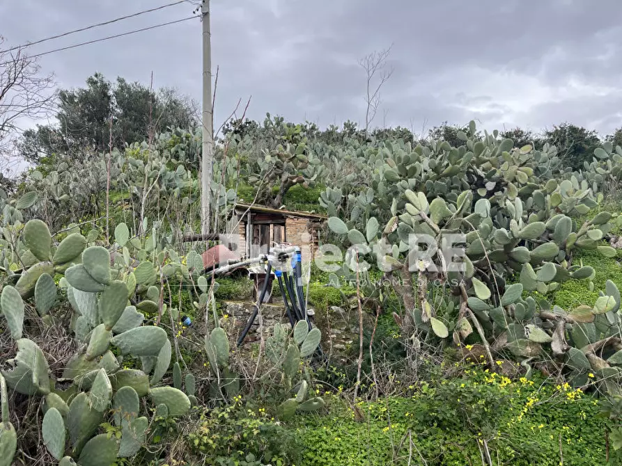 Immagine 11 di Terreno in vendita  in Via Mortara S.Leo a Reggio Di Calabria