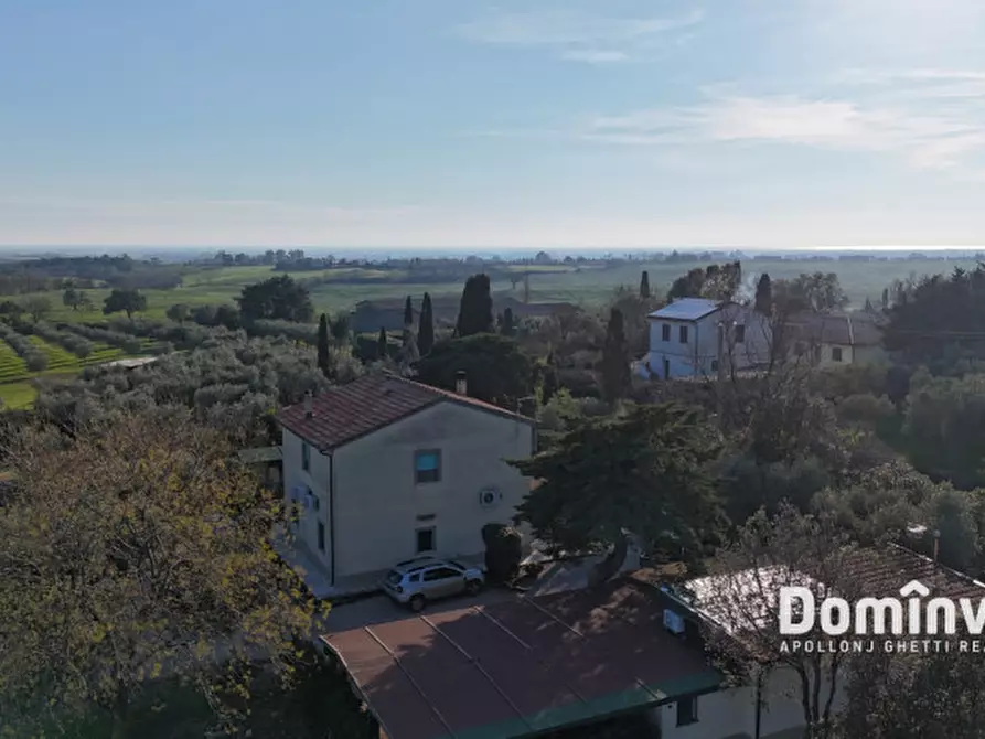 Immagine 8 di Rustico / casale in vendita  in Strada della Ficona a Capalbio