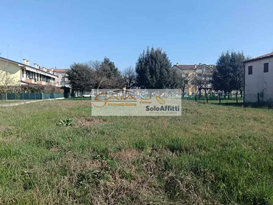Immagine 2 di Terreno in vendita  a Vigonovo