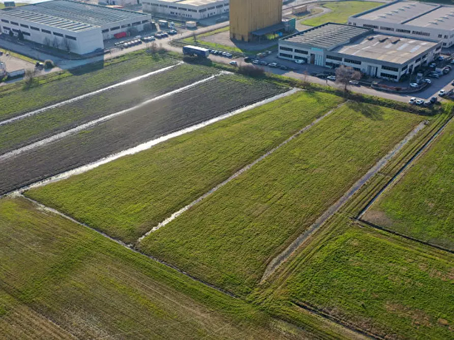 Immagine 2 di Terreno in vendita  in VIA CARLO CASSOLA a Torrile