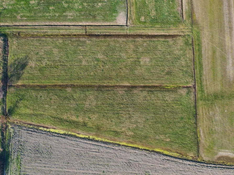 Immagine 3 di Terreno in vendita  in VIA CARLO CASSOLA a Torrile