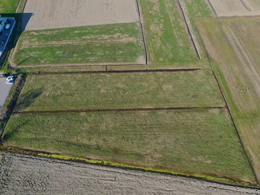 Immagine 4 di Terreno in vendita  in VIA CARLO CASSOLA a Torrile