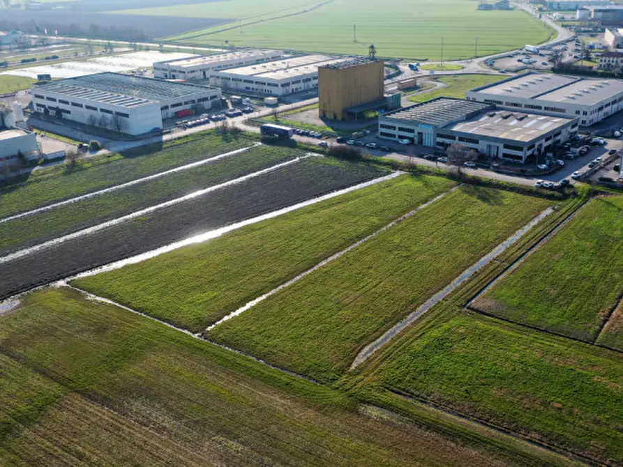 Immagine 5 di Terreno in vendita  in VIA CARLO CASSOLA a Torrile