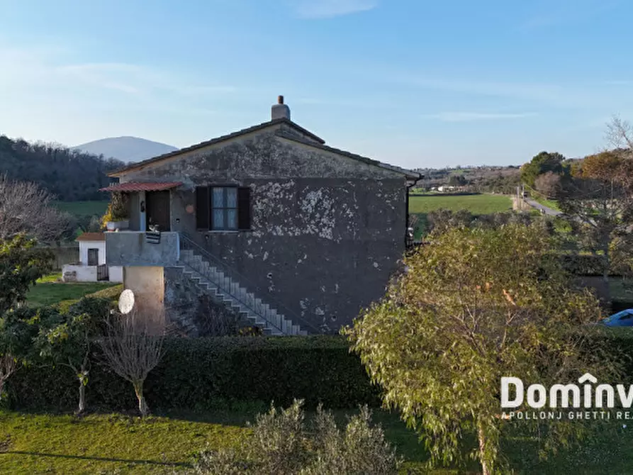 Immagine 3 di Rustico / casale in vendita  in Strada Provinciale 75 Pescia Fiorentina Chiarone a Capalbio