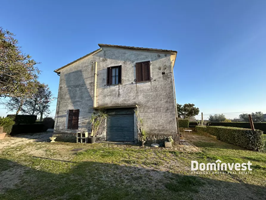 Immagine 5 di Rustico / casale in vendita  in Strada Provinciale 75 Pescia Fiorentina Chiarone a Capalbio