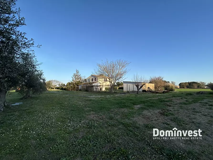 Immagine 7 di Rustico / casale in vendita  in Strada Provinciale 75 Pescia Fiorentina Chiarone a Capalbio