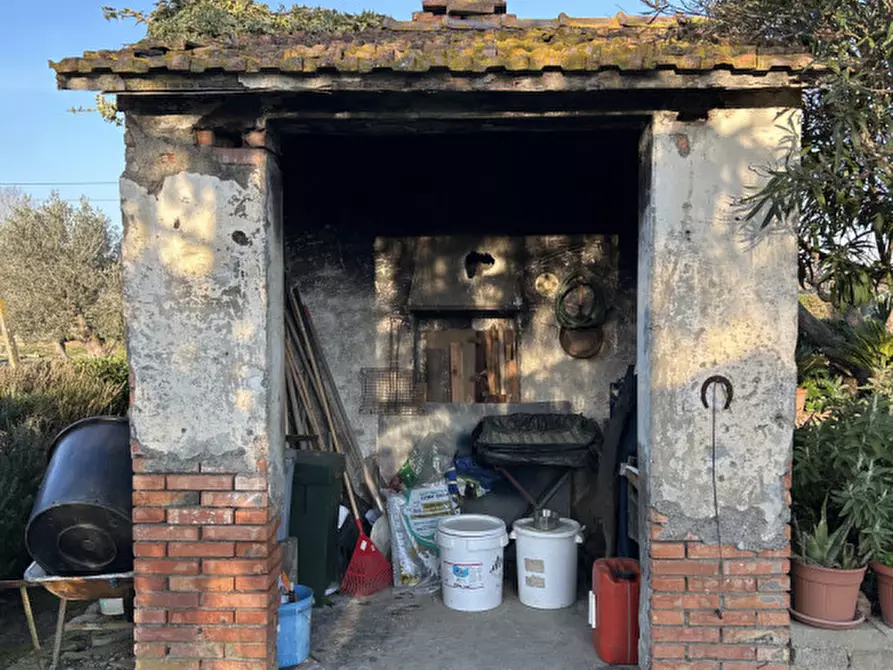 Immagine 10 di Rustico / casale in vendita  in Strada Provinciale 75 Pescia Fiorentina Chiarone a Capalbio