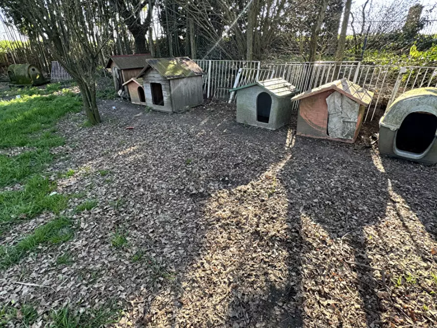 Immagine 17 di Casa indipendente in vendita  in Via Fossa Maestra 8 a Villa Bartolomea