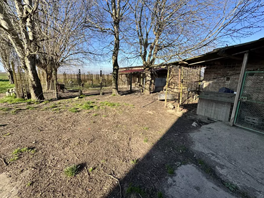 Immagine 19 di Casa indipendente in vendita  in Via Fossa Maestra 8 a Villa Bartolomea