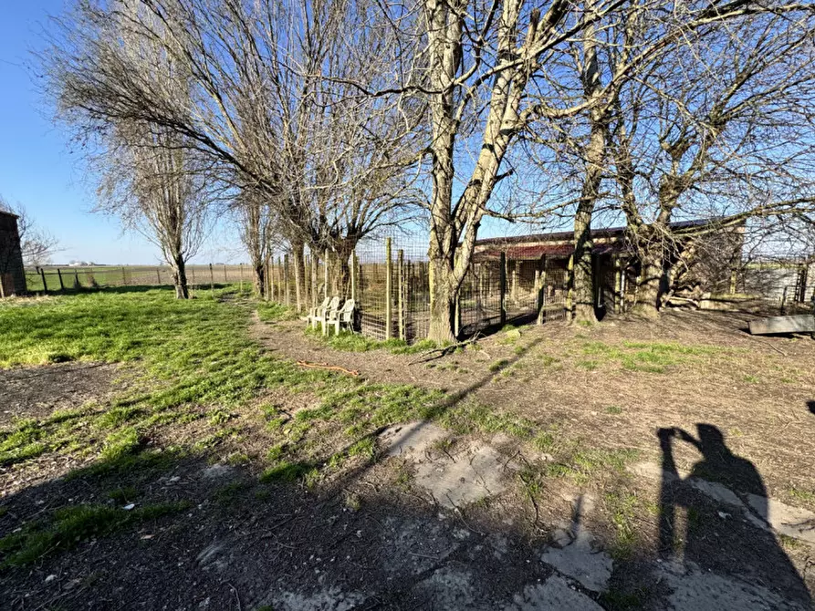 Immagine 20 di Casa indipendente in vendita  in Via Fossa Maestra 8 a Villa Bartolomea