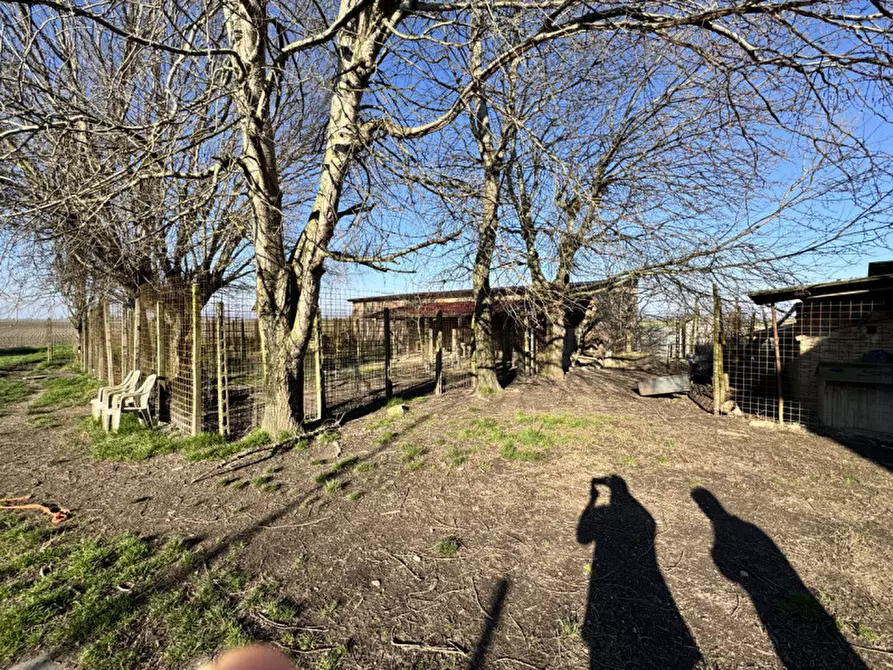 Immagine 21 di Casa indipendente in vendita  in Via Fossa Maestra 8 a Villa Bartolomea