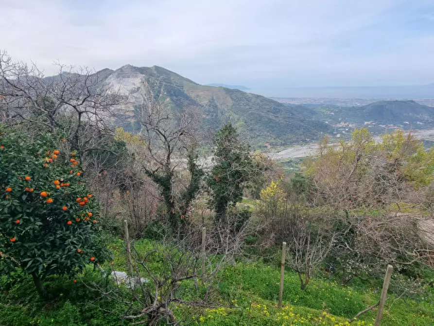 Immagine 24 di Casa indipendente in vendita  in Contrada Fassallo a Santa Lucia Del Mela