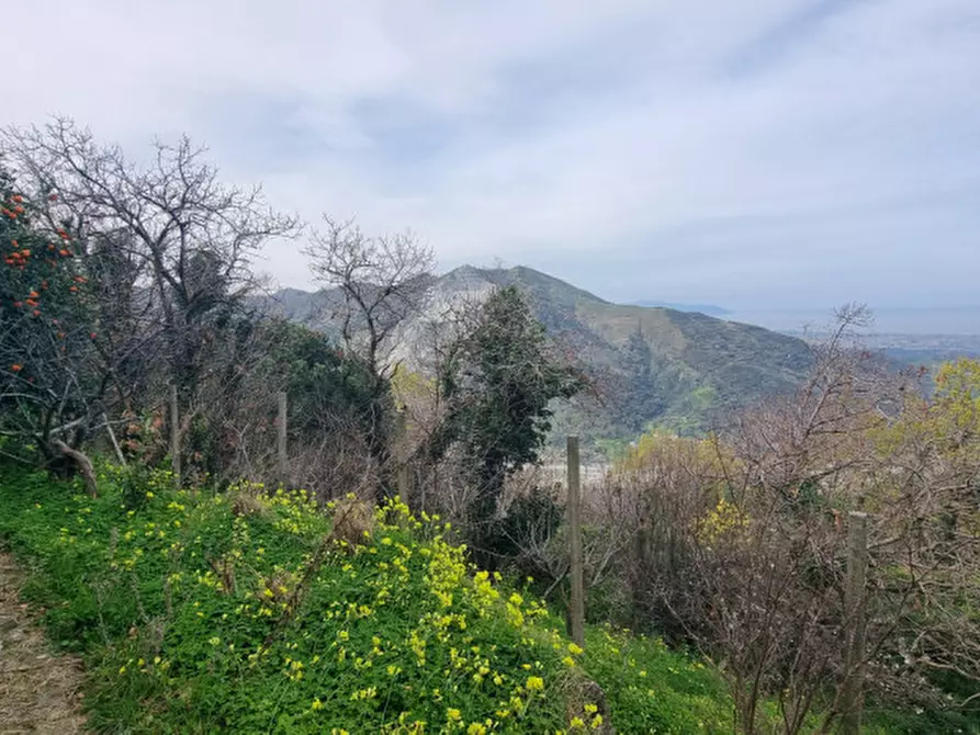 Immagine 25 di Casa indipendente in vendita  in Contrada Fassallo a Santa Lucia Del Mela