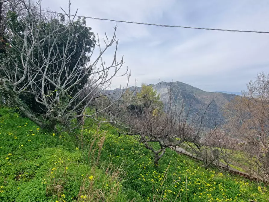 Immagine 29 di Casa indipendente in vendita  in Contrada Fassallo a Santa Lucia Del Mela