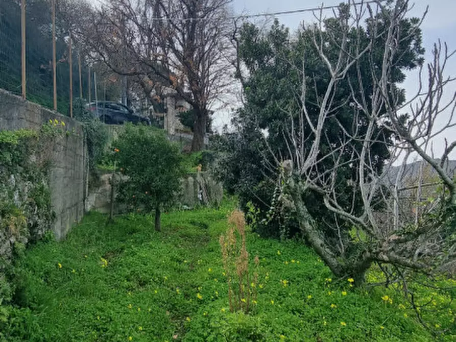 Immagine 30 di Casa indipendente in vendita  in Contrada Fassallo a Santa Lucia Del Mela