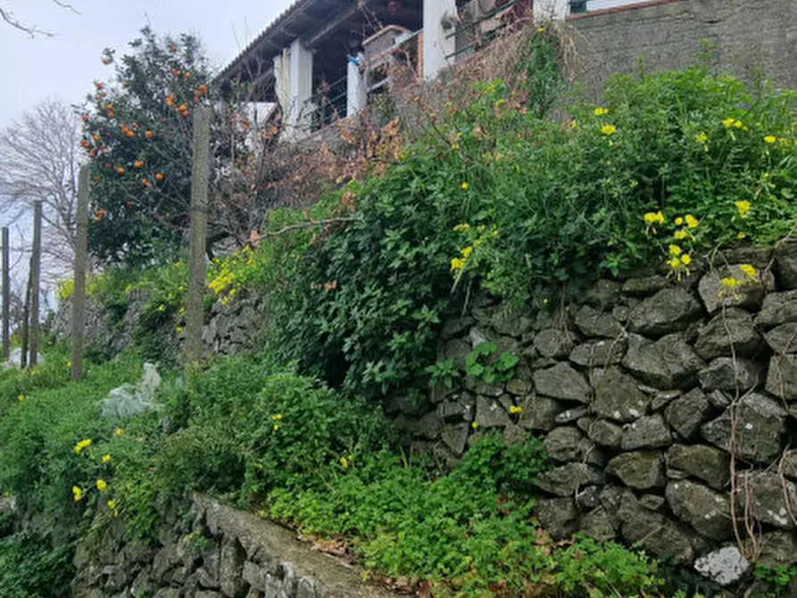 Immagine 31 di Casa indipendente in vendita  in Contrada Fassallo a Santa Lucia Del Mela