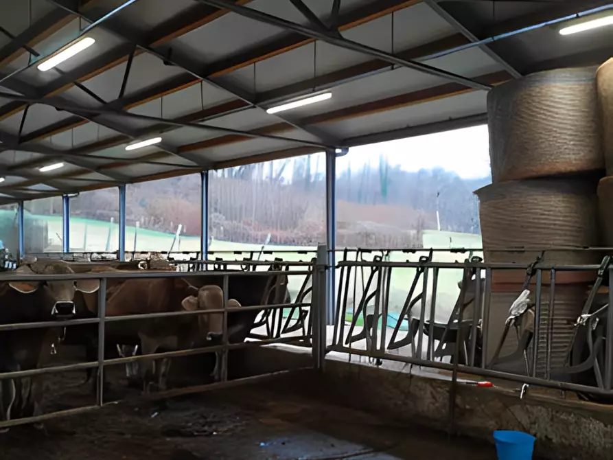 Immagine 3 di Attività commerciale in vendita  in Via per Sillico a Pieve Fosciana