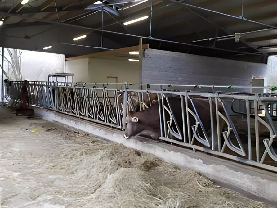 Immagine 4 di Attività commerciale in vendita  in Via per Sillico a Pieve Fosciana