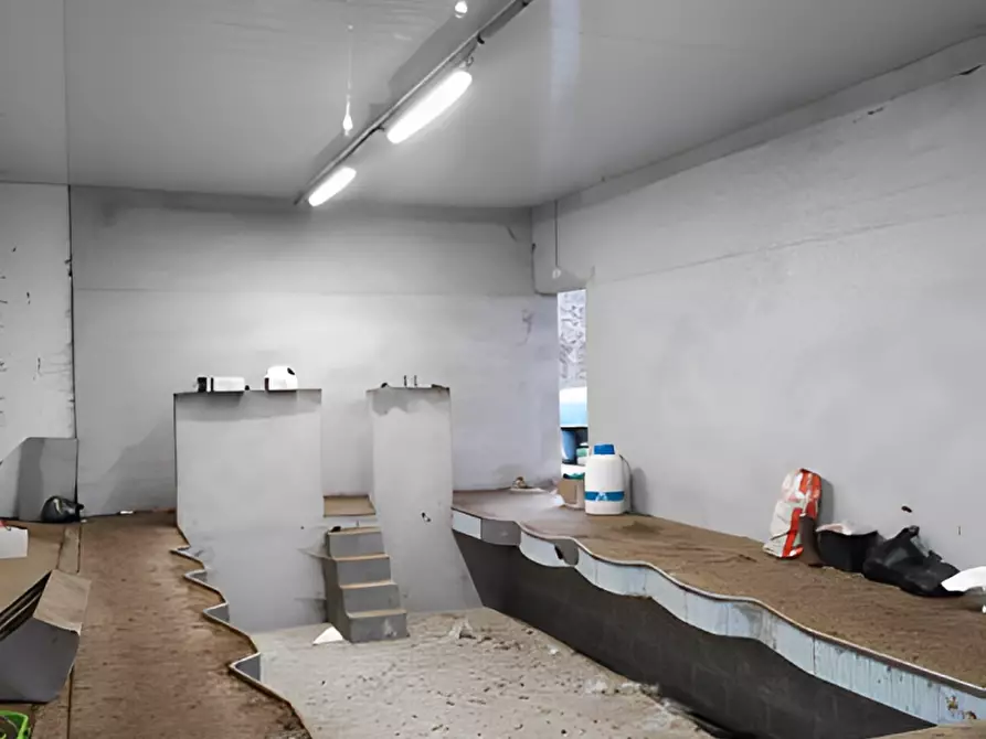 Immagine 5 di Attività commerciale in vendita  in Via per Sillico a Pieve Fosciana