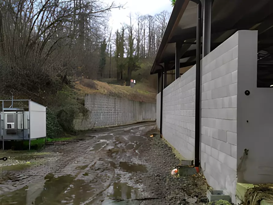 Immagine 8 di Attività commerciale in vendita  in Via per Sillico a Pieve Fosciana