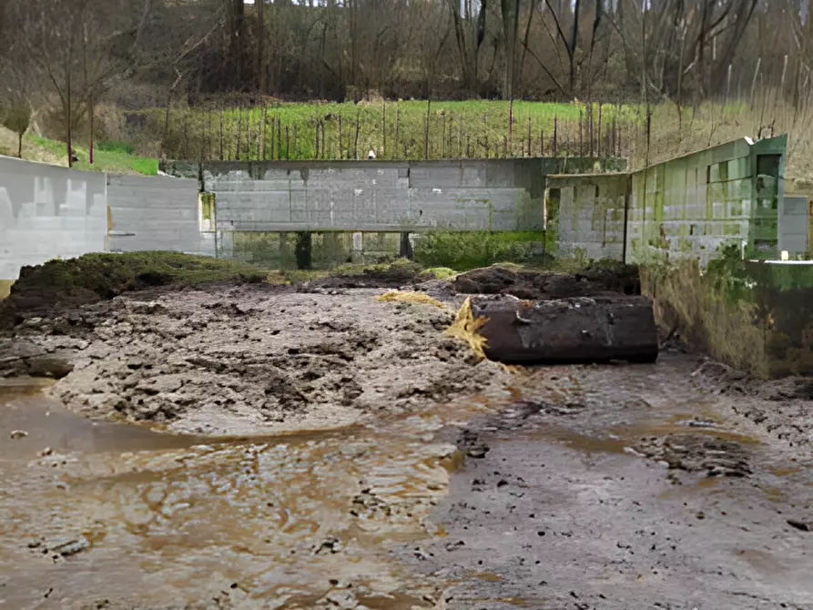 Immagine 9 di Attività commerciale in vendita  in Via per Sillico a Pieve Fosciana