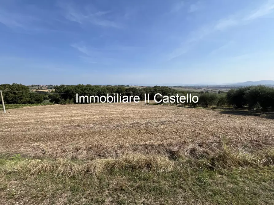 Immagine 5 di Agriturismo in vendita  in VILLASTRADA a Castiglione Del Lago