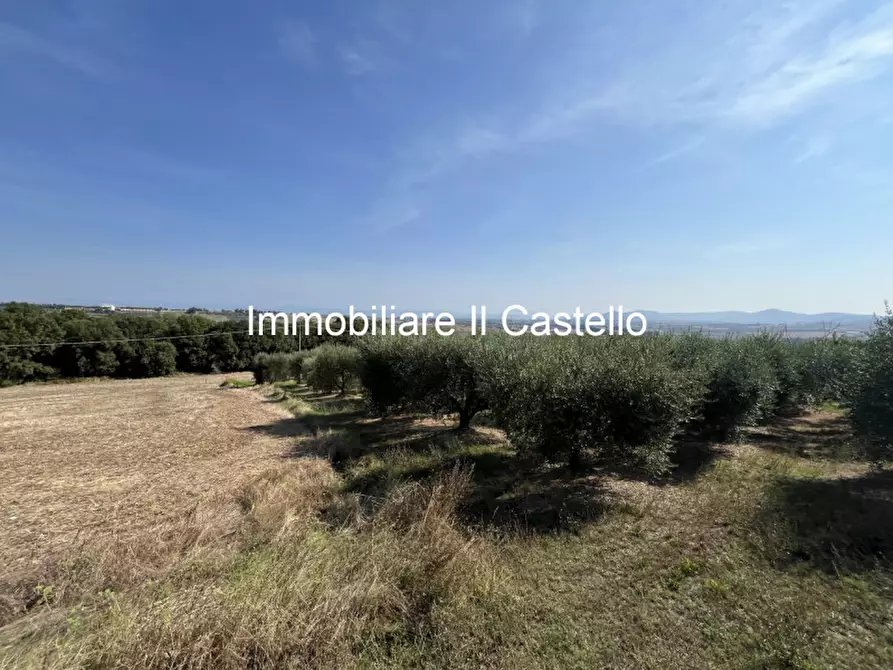 Immagine 9 di Agriturismo in vendita  in VILLASTRADA a Castiglione Del Lago