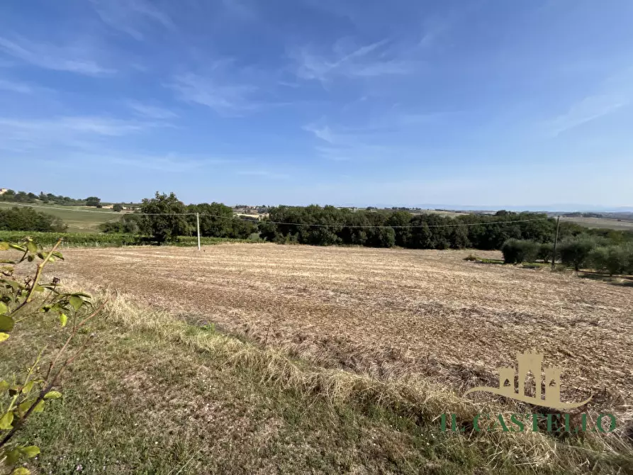 Immagine 10 di Rustico / casale in vendita  in VILLASTRADA a Castiglione Del Lago