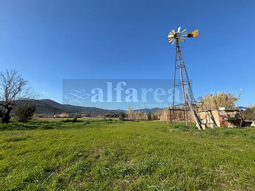 Immagine 1 di Terreno in vendita  a Castiglione Della Pescaia