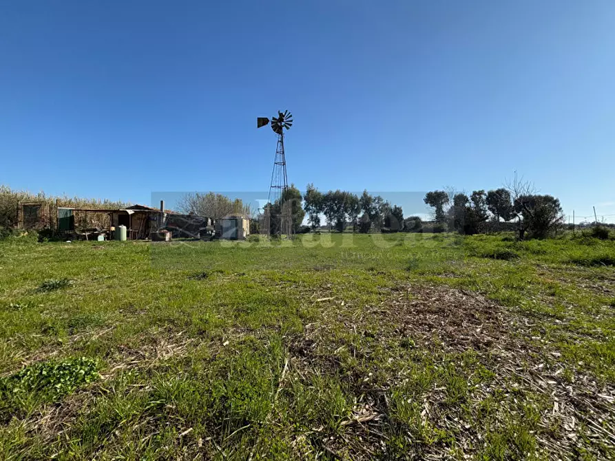 Immagine 2 di Terreno in vendita  a Castiglione Della Pescaia