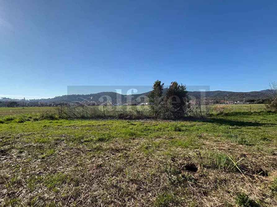 Immagine 3 di Terreno in vendita  a Castiglione Della Pescaia