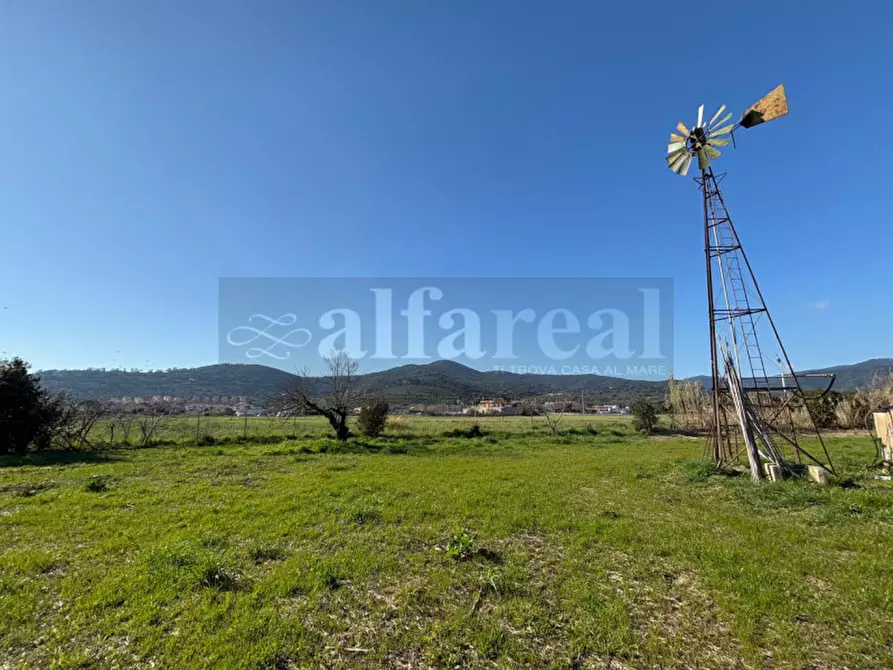 Immagine 4 di Terreno in vendita  a Castiglione Della Pescaia