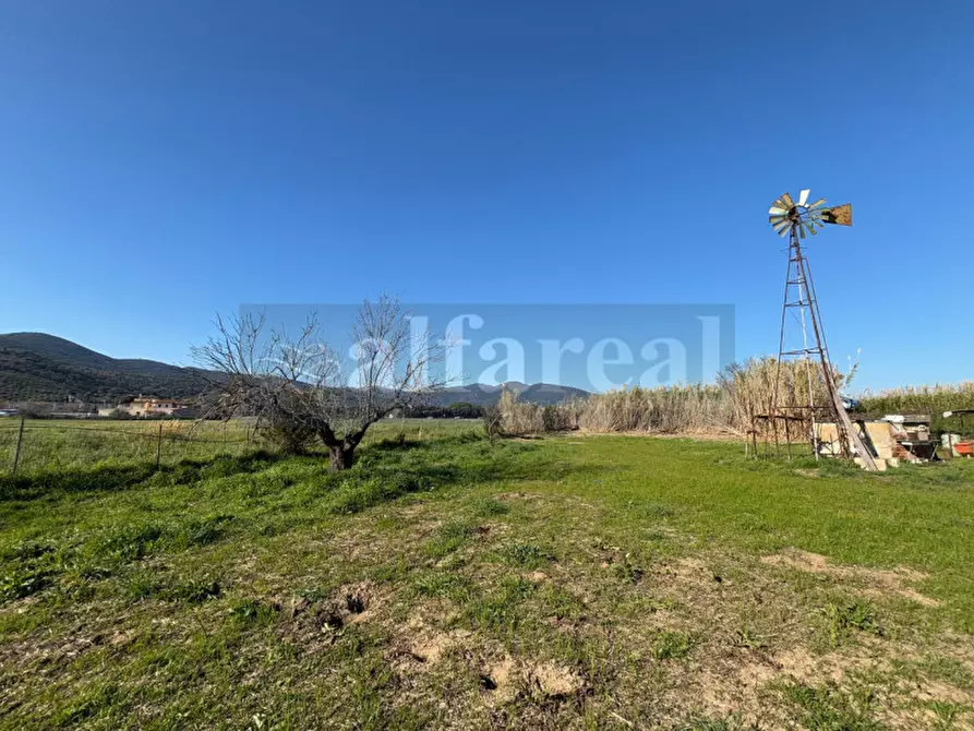 Immagine 5 di Terreno in vendita  a Castiglione Della Pescaia