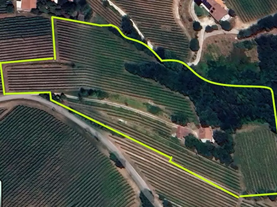 Immagine 27 di Rustico / casale in vendita  in VIA MONTE VERSA a Vo