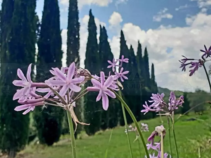 Immagine 3 di Rustico / casale in vendita  in Romola a San Casciano In Val Di Pesa