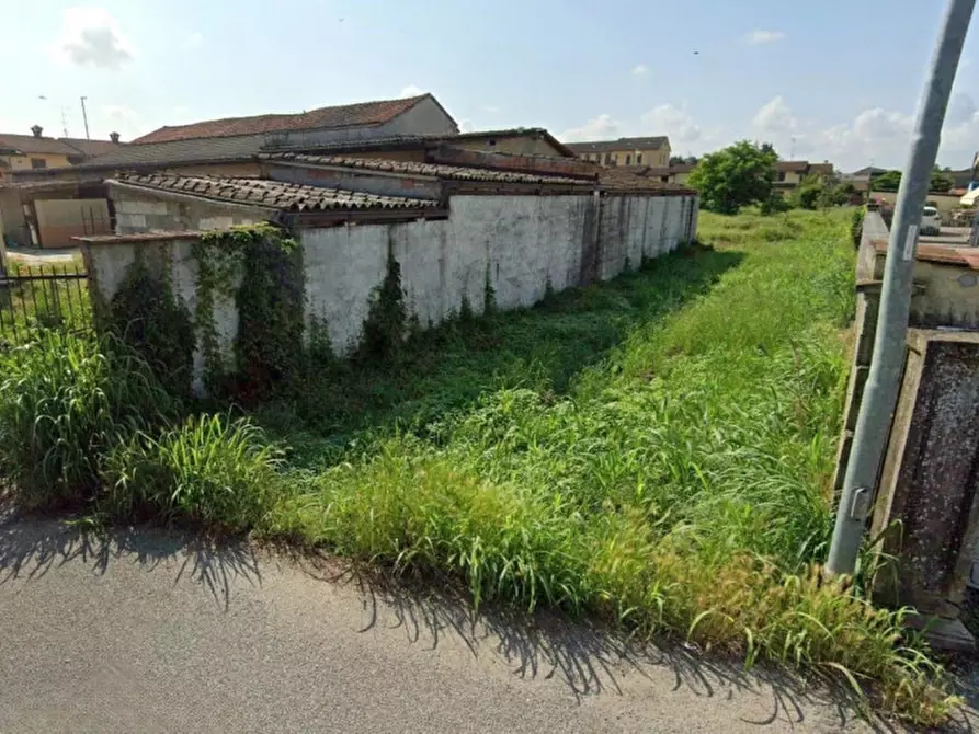 Immagine 9 di Terreno in vendita  in Via Vigna Grande, N. snc a Pieve Porto Morone