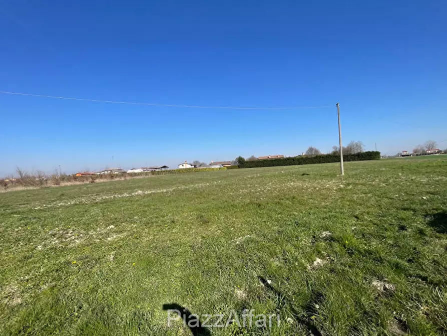 Immagine 3 di Terreno in vendita  in Via Cavaizza a Codevigo