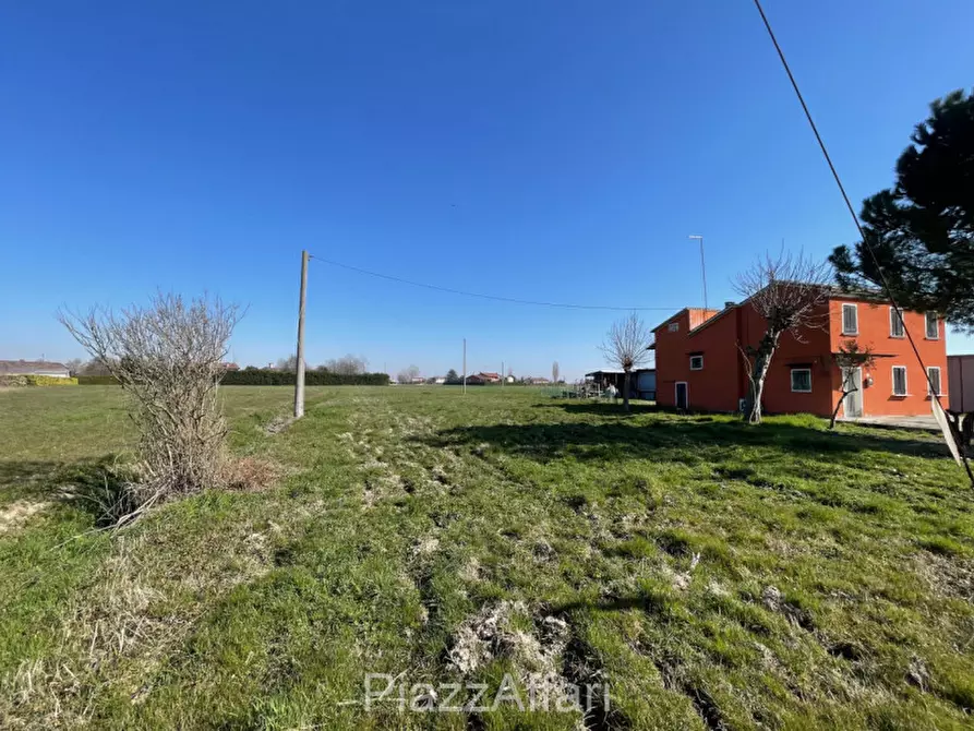 Immagine 5 di Terreno in vendita  in Via Cavaizza a Codevigo