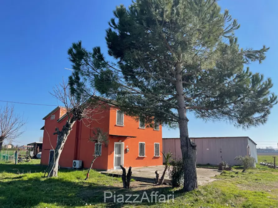 Immagine 6 di Terreno in vendita  in Via Cavaizza a Codevigo