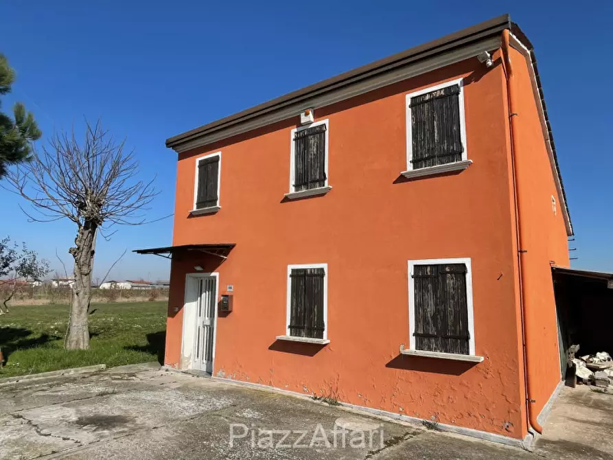 Immagine 15 di Terreno in vendita  in Via Cavaizza a Codevigo