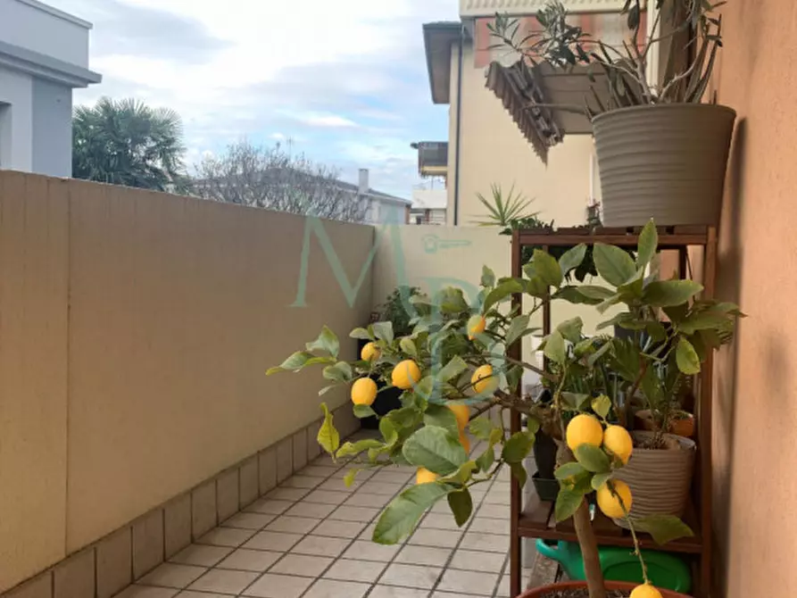 Immagine 25 di Appartamento in vendita  a Padova