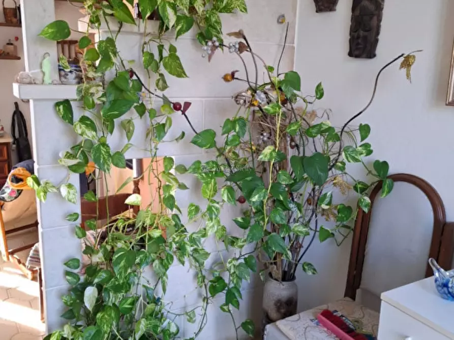 Immagine 7 di Casa indipendente in vendita  a Modica