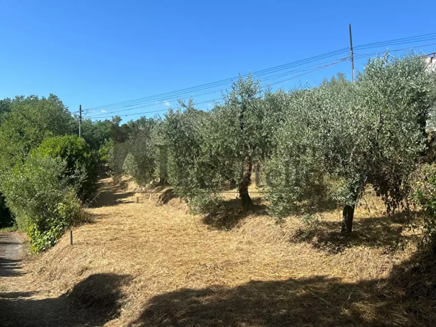 Immagine 8 di Rustico / casale in vendita  in Via Gioveto a Panicale