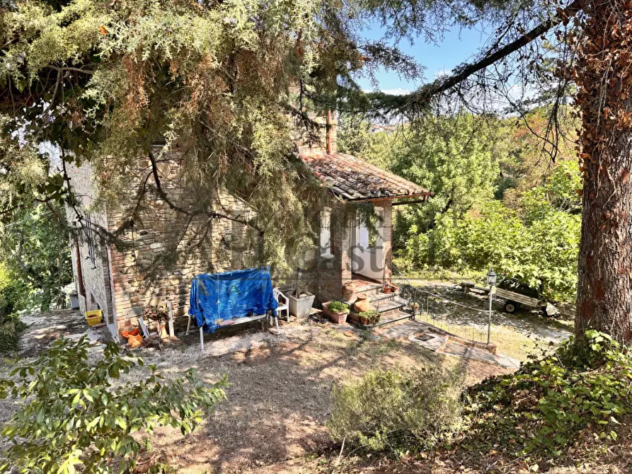 Immagine 16 di Rustico / casale in vendita  in Via Gioveto a Panicale