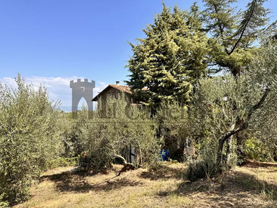 Immagine 20 di Rustico / casale in vendita  in Via Gioveto a Panicale