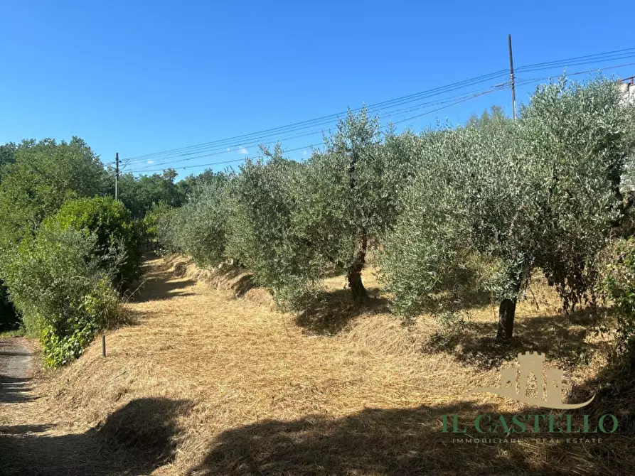 Immagine 19 di Rustico / casale in vendita  in Via Gioveto a Panicale