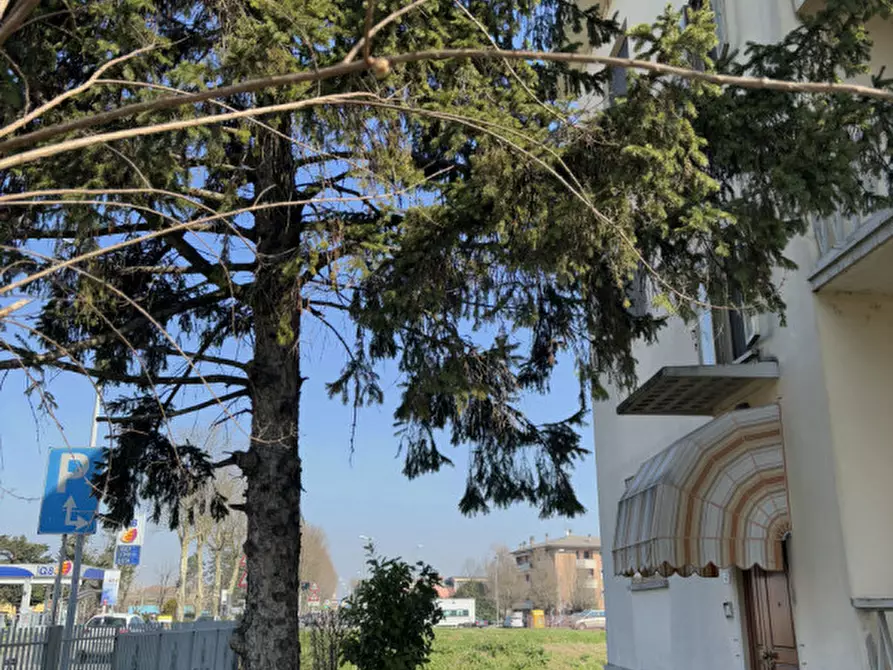 Immagine 44 di Appartamento in vendita  in Strada Martiri della Libertà ,43 a Colorno