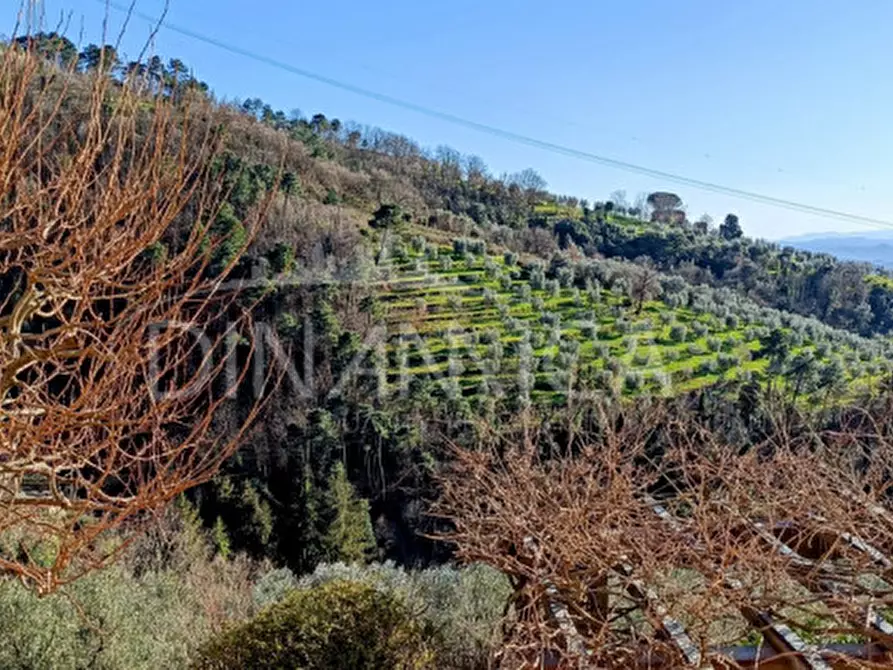 Immagine 27 di Rustico / casale in vendita  in Via Giovanni XXIII 1 a Vinci